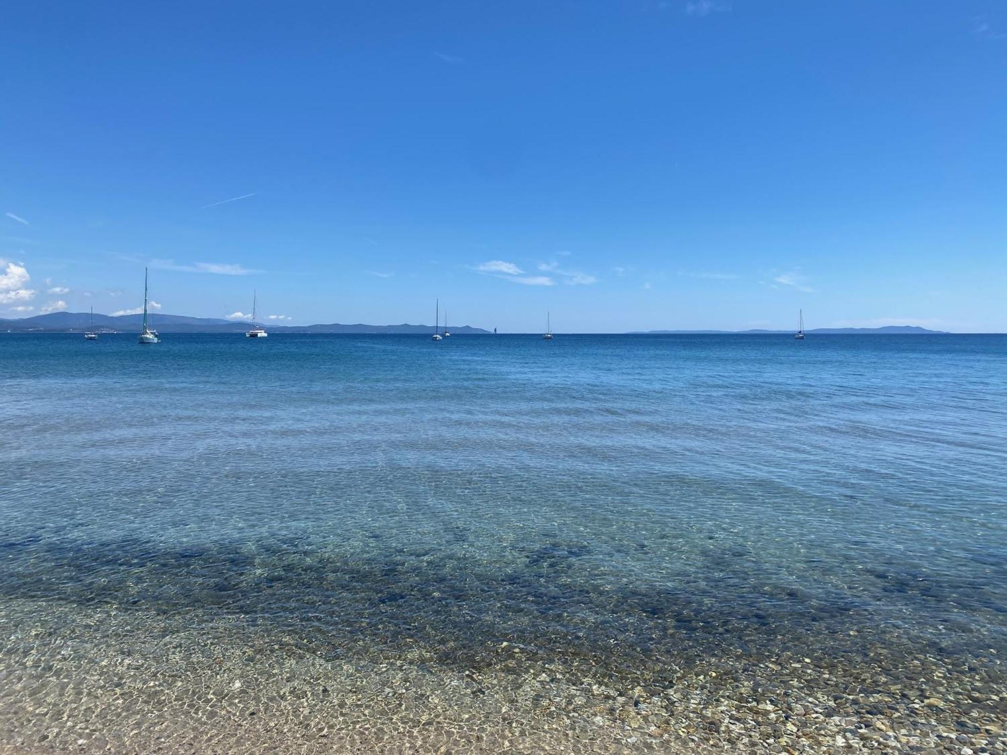 Appartement Les Cigales Rez De Jardin A 10Mn Des Plus Belles Plages Hyères Zewnętrze zdjęcie